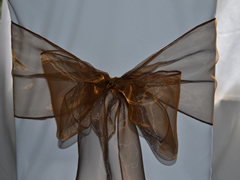 Organza Chair Sash